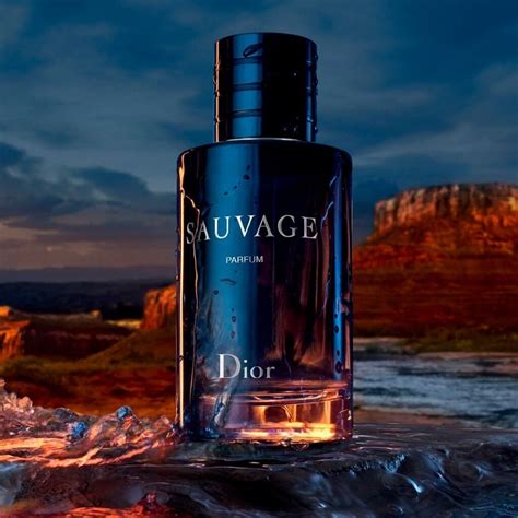 dior sauvage dubai|dior sauvage 100 ml price.